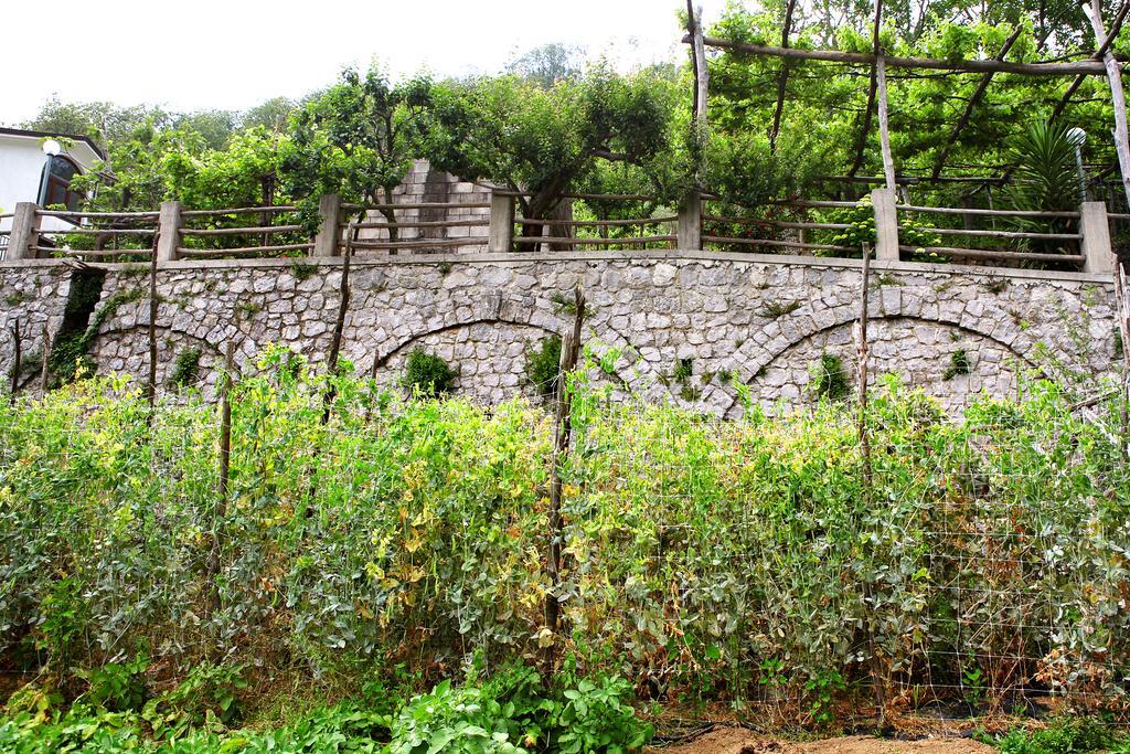 Il Raduno Villa Tramonti Luaran gambar